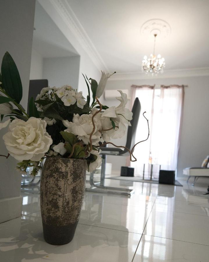 Designer Flat ניס מראה חיצוני תמונה